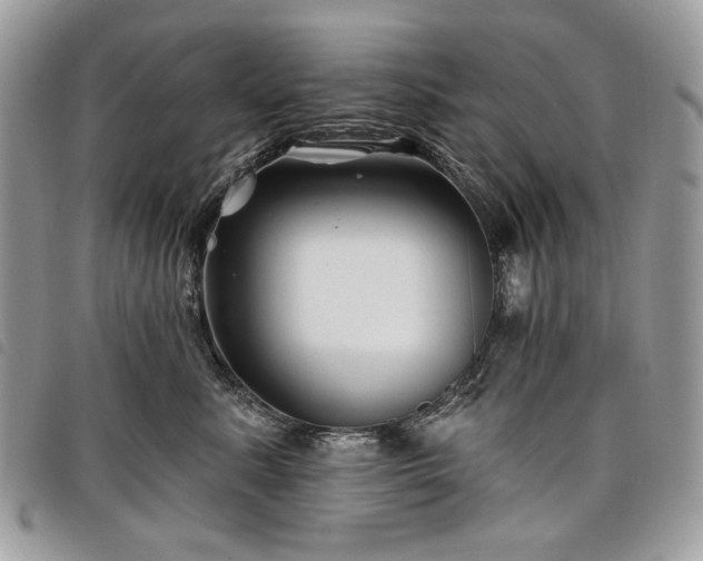 X0000098030619200804071418