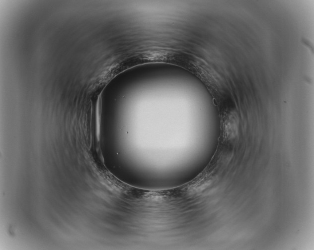 X0000098030620200804071418