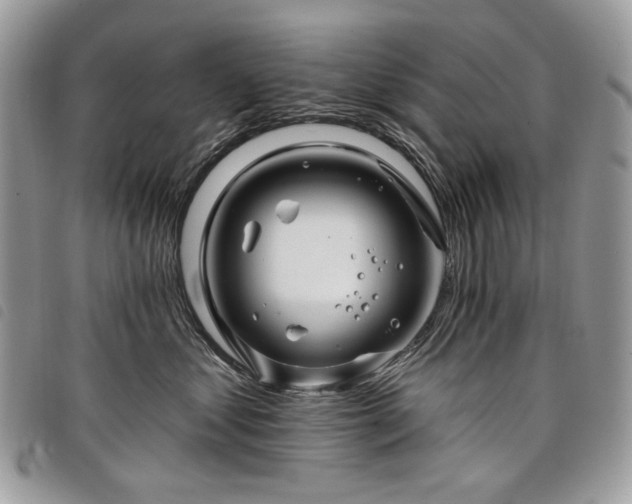 X0000098030621200804071418