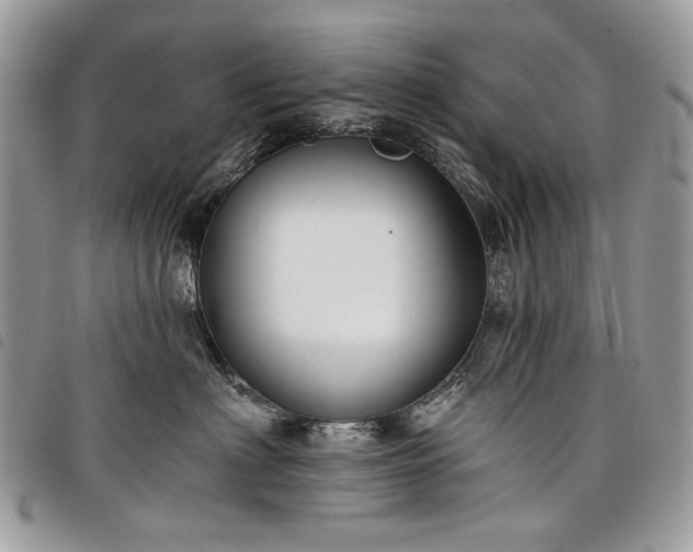 X0000098030622200804071418