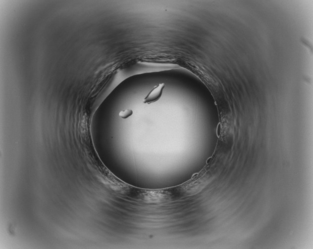 X0000098030623200804071418