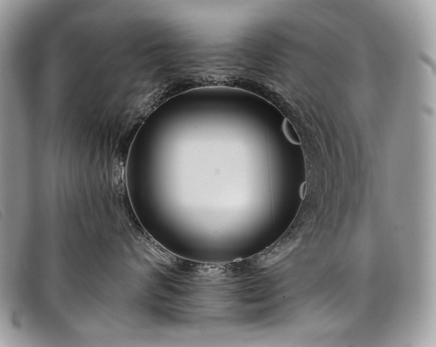 X0000098030624200804071418