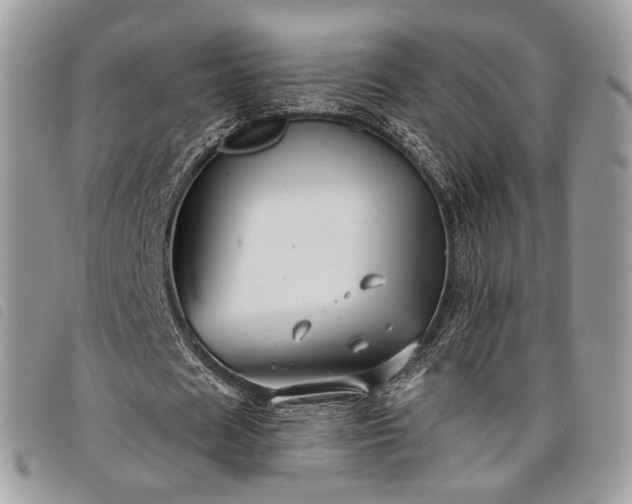 X0000098030625200804071417