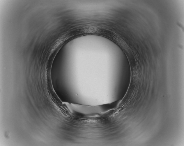 X0000098030626200804071417