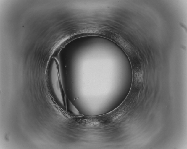 X0000098030628200804071417