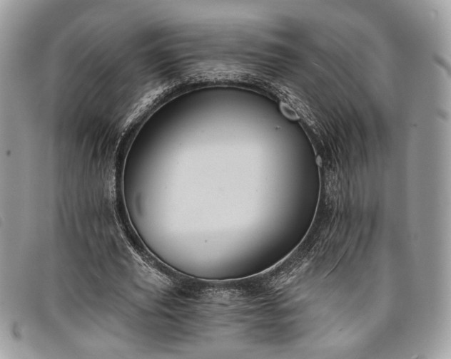 X0000098030629200804071417