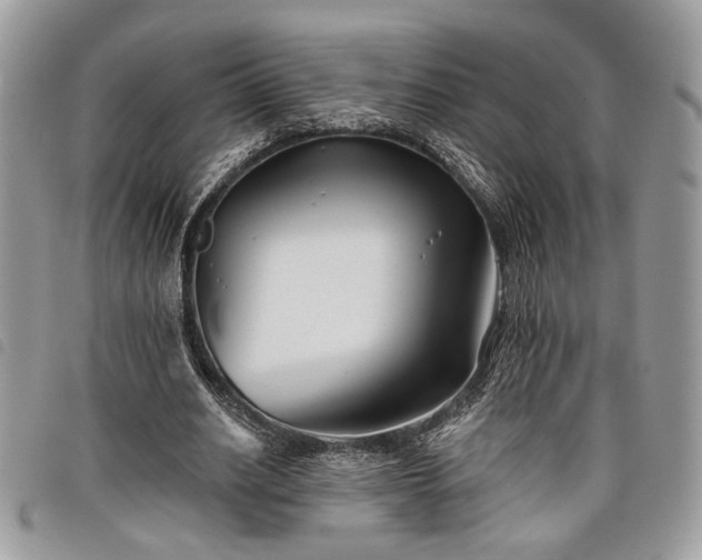 X0000098030630200804071417