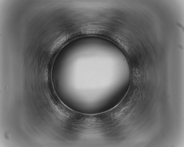 X0000098030631200804071417