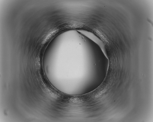 X0000098030634200804071417