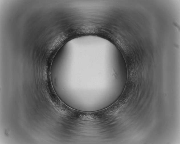 X0000098030635200804071417