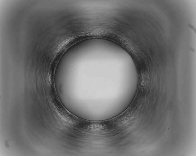 X0000098030636200804071417