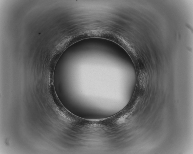 X0000098030637200804071417