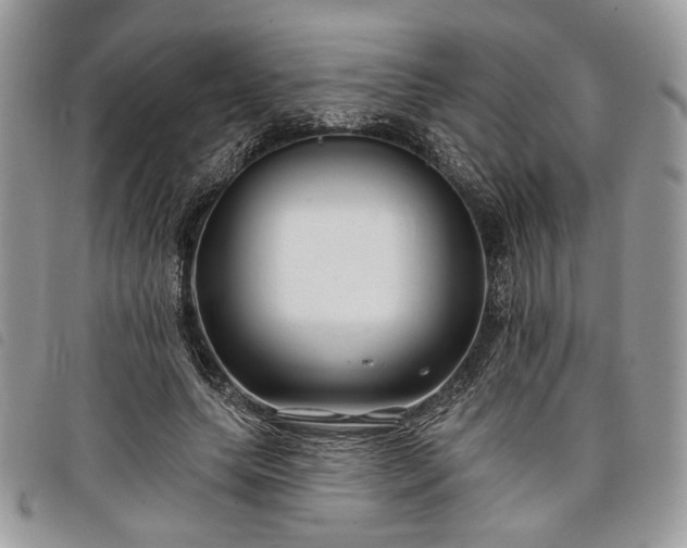 X0000098030639200804071417