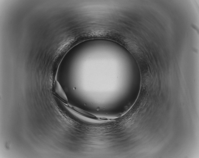 X0000098030640200804071417