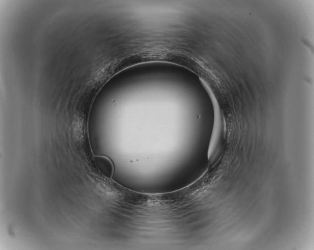 X0000098030641200804071417