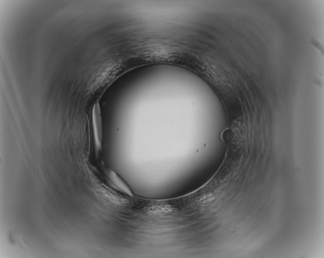 X0000098030642200804071417