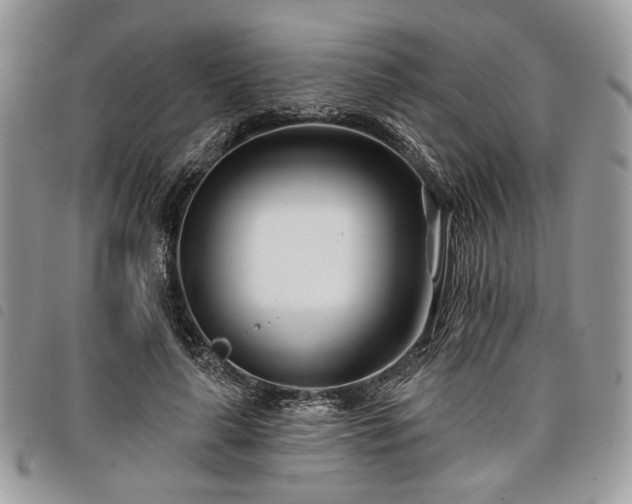 X0000098030643200804071417