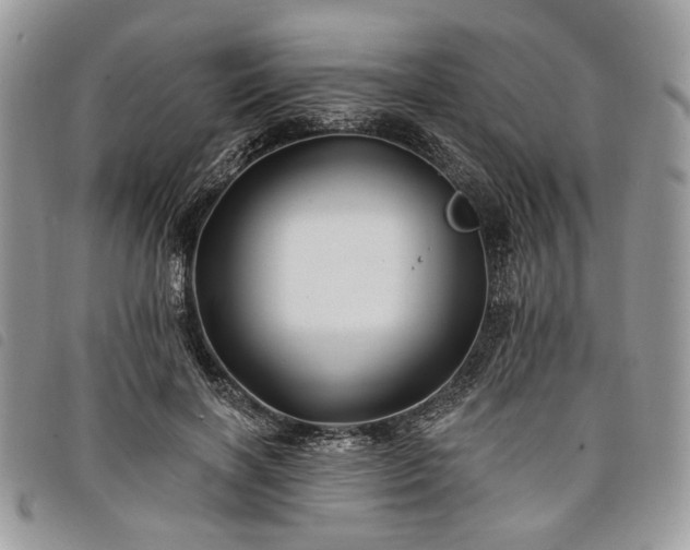 X0000098030646200804071417