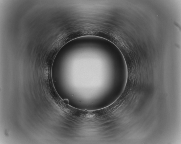 X0000098030647200804071417