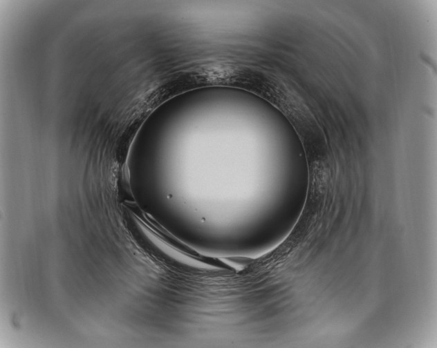 X0000098030650200804071417