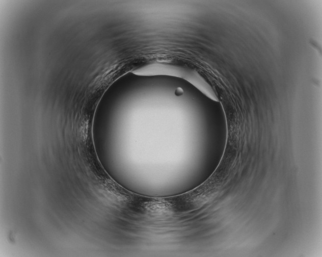 X0000098030652200804071417