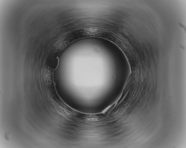 X0000098030653200804071417