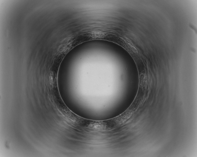 X0000098030655200804071418