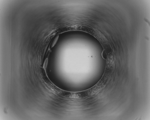 X0000098030656200804071418