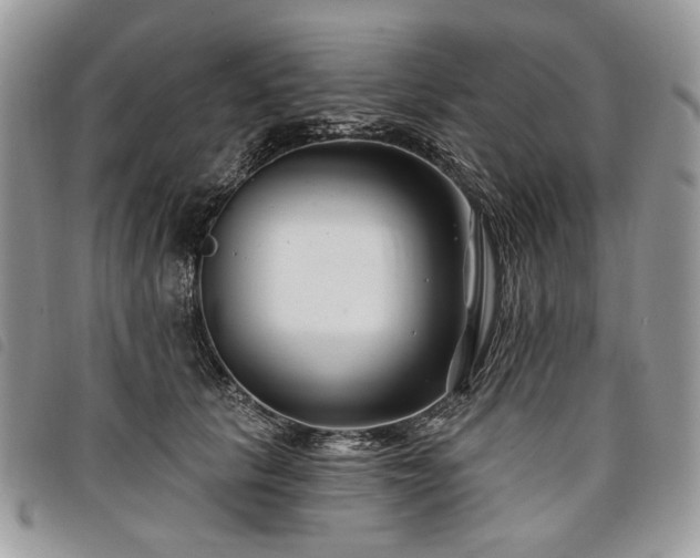 X0000098030657200804071418