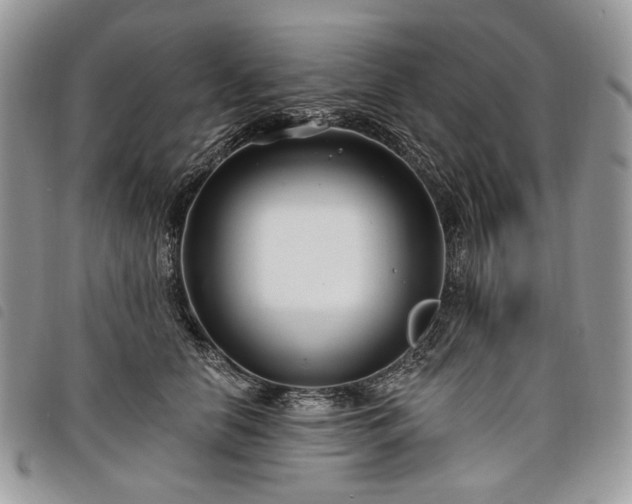 X0000098030658200804071418