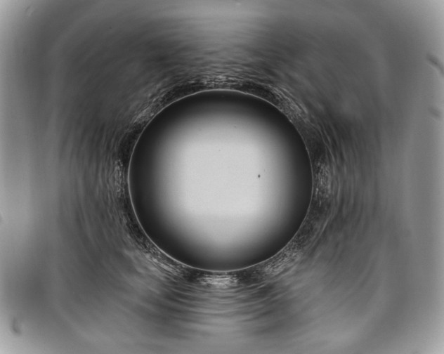 X0000098030659200804071418