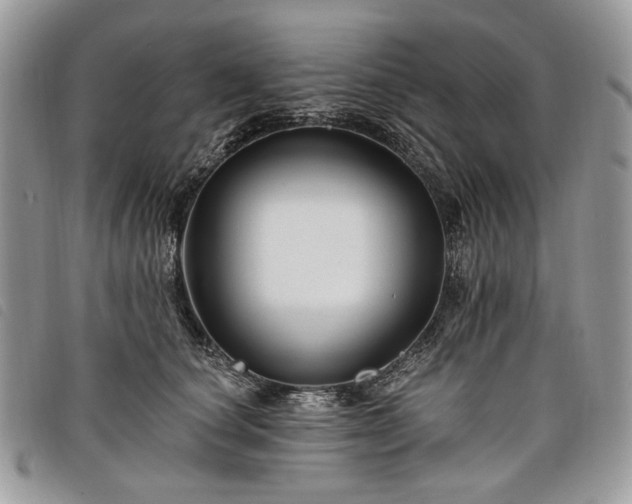 X0000098030660200804071418