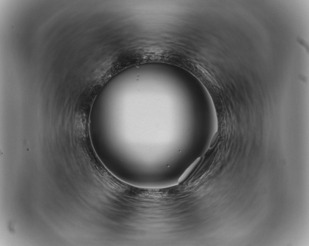 X0000098030661200804071418