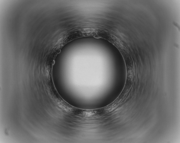 X0000098030662200804071418