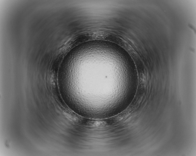 X0000098030663200804071418