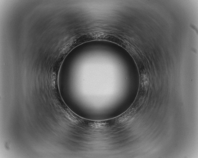 X0000098030664200804071418