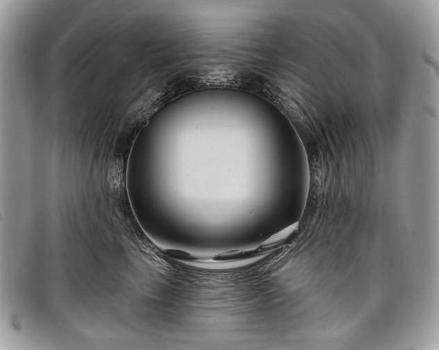 X0000098030665200804071418