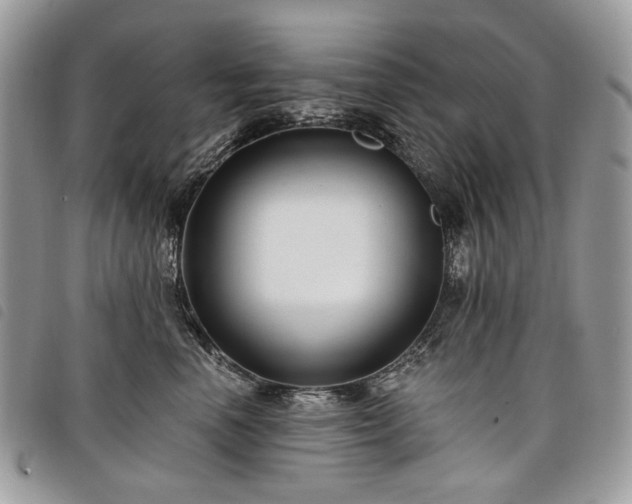 X0000098030666200804071418