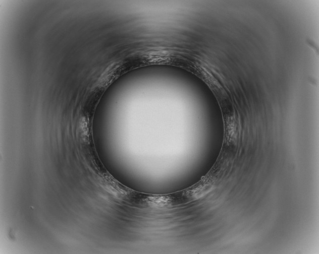 X0000098030667200804071418