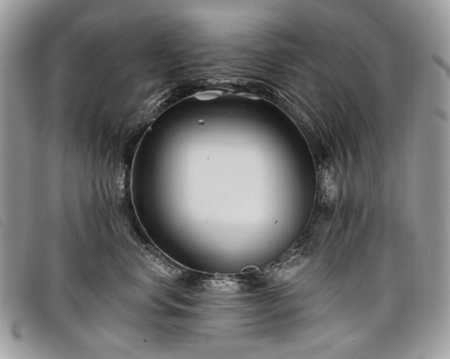 X0000098030668200804071418