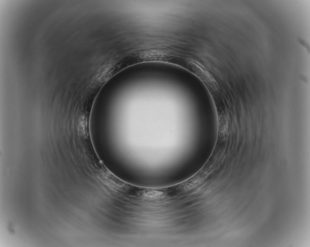 X0000098030669200804071418