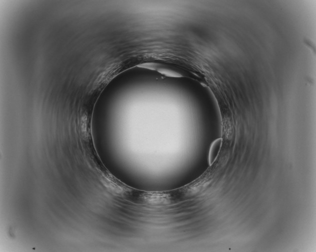 X0000098030670200804071418