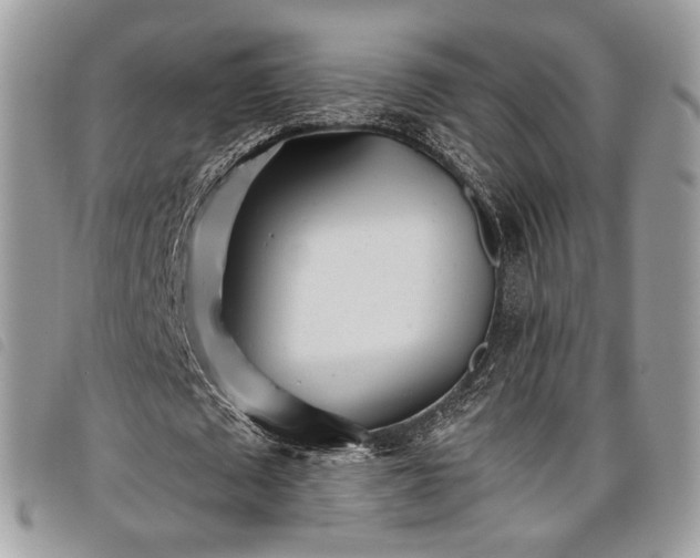 X0000098030673200804071417