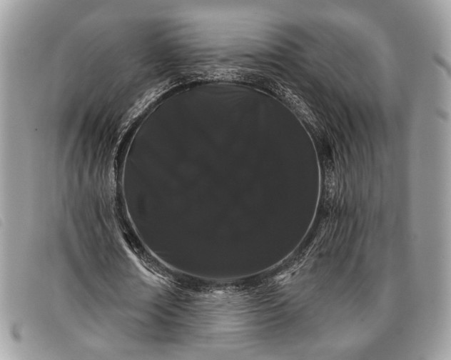 X0000098030674200804071417