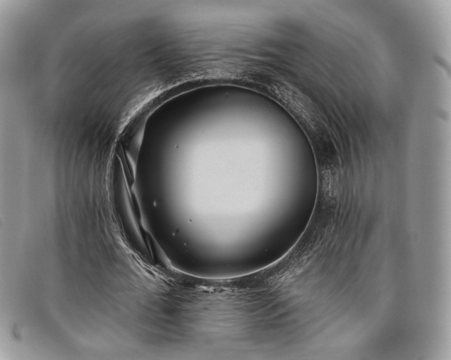 X0000098030676200804071417