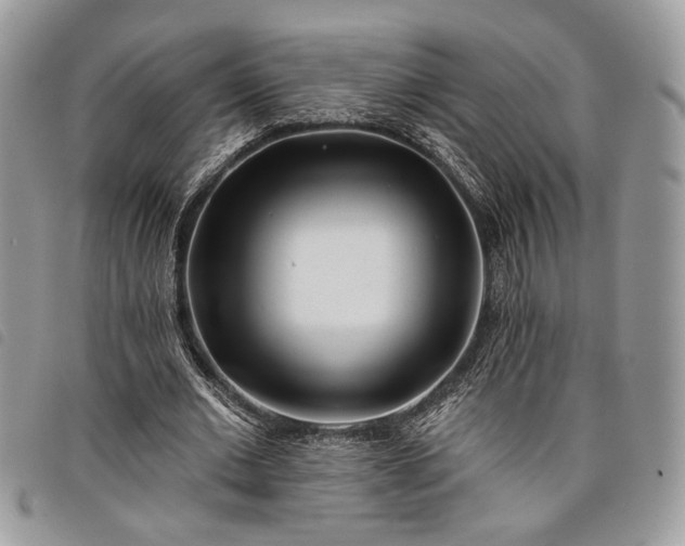 X0000098030677200804071417