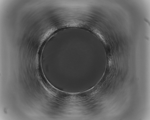 X0000098030678200804071417