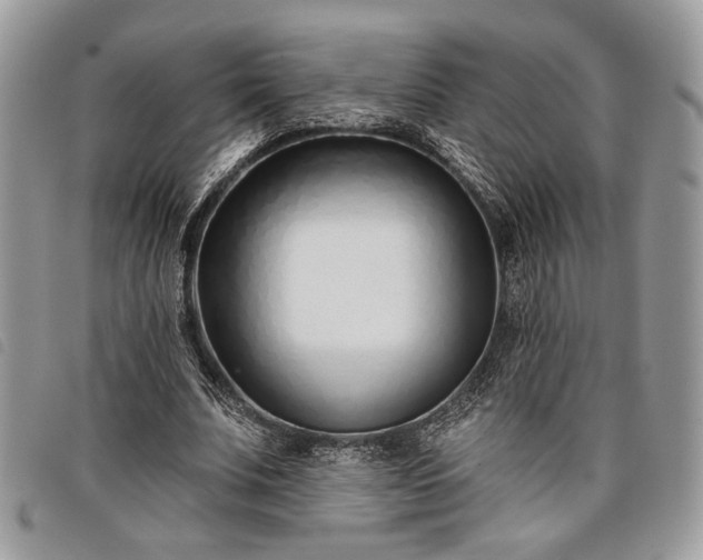 X0000098030679200804071417