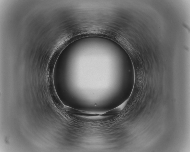 X0000098030680200804071417