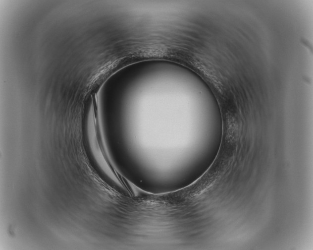 X0000098030681200804071417